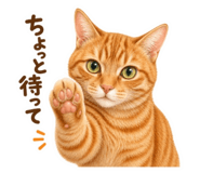836782127