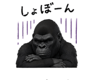 836786576