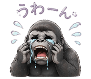 836786850