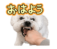 836787027