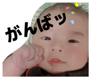 836787558