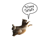 836790344