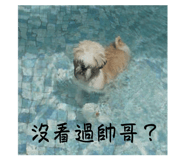 836797253