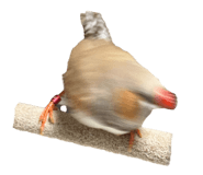 836805795