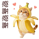 836811990