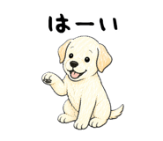 836813306