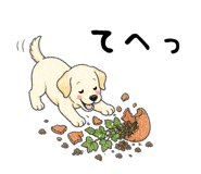 836813314
