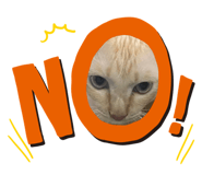 836819958