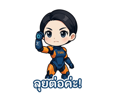ลายที่ 13