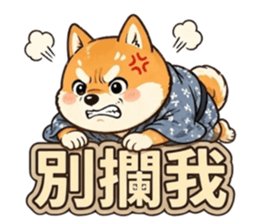 836822713