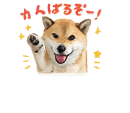 836831785