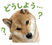 836831787