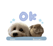 836833785