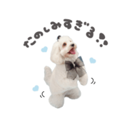836833813