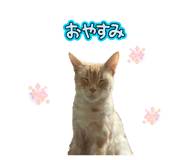836834025