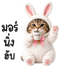 แมวสลิดหมวกกระต่ายน่ารัก รูปที่ 1