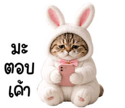 แมวสลิดหมวกกระต่ายน่ารัก รูปที่ 3