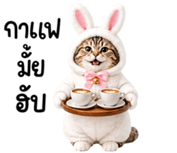 แมวสลิดหมวกกระต่ายน่ารัก รูปที่ 12