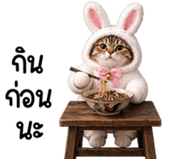 แมวสลิดหมวกกระต่ายน่ารัก รูปที่ 26