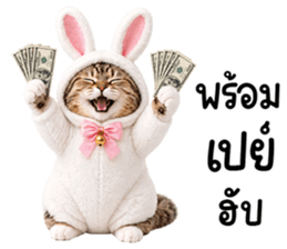 แมวสลิดหมวกกระต่ายน่ารัก รูปที่ 31