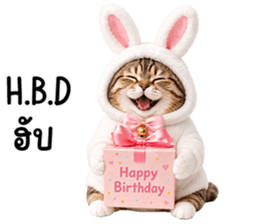 แมวสลิดหมวกกระต่ายน่ารัก รูปที่ 33