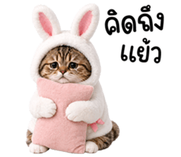แมวสลิดหมวกกระต่ายน่ารัก รูปที่ 35