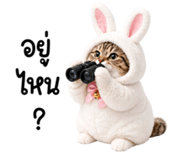 แมวสลิดหมวกกระต่ายน่ารัก รูปที่ 36