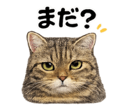 836838560