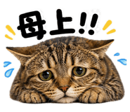 836838567