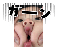 836847917