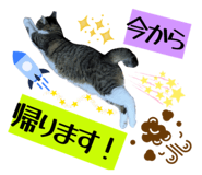 836847944
