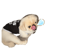 836851085