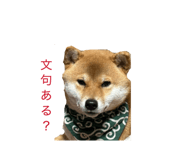 836859154