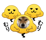 836859156