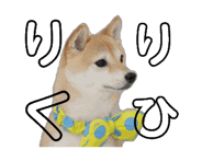836862582
