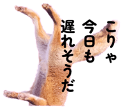 836862629