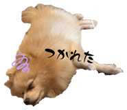 836863473