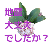 836864292