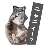 836864489