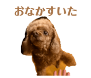 836896494