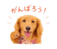 836896763