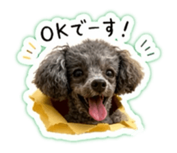 836907963