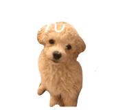 836913995