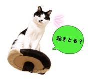 836915761
