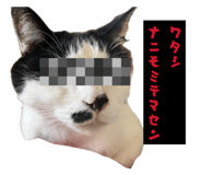 836915784
