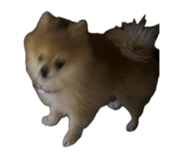 836916835