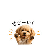 836960084