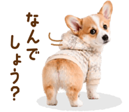 836967677
