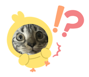 836970440