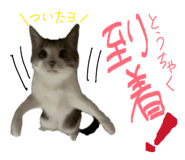 836970641